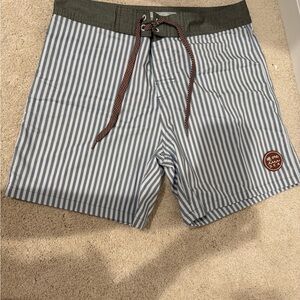 Blue and Green Board Shorts with Tailored Fit